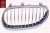 KLOKKERHOLM 0066991 Radiator Grille